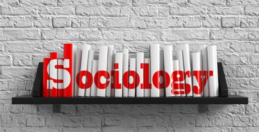 What can you do with a sociology degree?